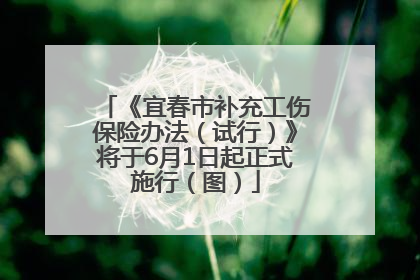 《宜春市补充工伤保险办法（试行）》将于6月1日起正式施行（图）