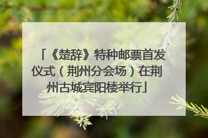 《楚辞》特种邮票首发仪式（荆州分会场）在荆州古城宾阳楼举行