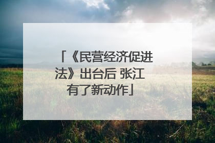 《民营经济促进法》出台后 张江有了新动作