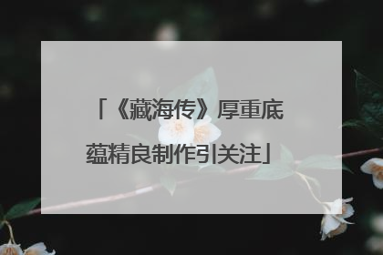 《藏海传》厚重底蕴精良制作引关注