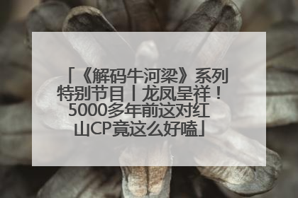 《解码牛河梁》系列特别节目丨龙凤呈祥！5000多年前这对红山CP竟这么好嗑
