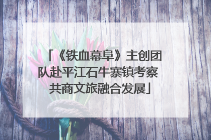 《铁血幕阜》主创团队赴平江石牛寨镇考察 共商文旅融合发展