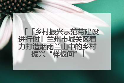 「乡村振兴示范带建设进行时」兰州市城关区着力打造烟雨兰山中的乡村振兴“样板间”
