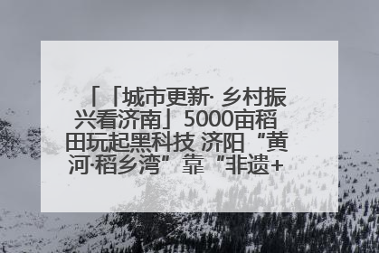 「城市更新· 乡村振兴看济南」5000亩稻田玩起黑科技 济阳“黄河·稻乡湾”靠“非遗+露营”火出圈
