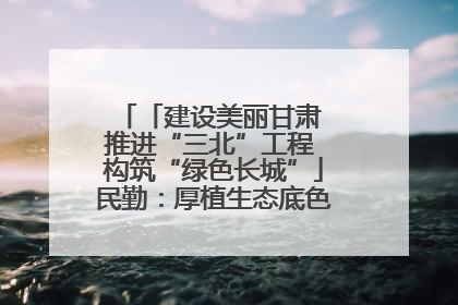 「建设美丽甘肃 推进“三北”工程 构筑“绿色长城”」民勤：厚植生态底色 筑牢绿色屏障