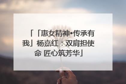 「惠女精神•传承有我」杨嘉红：双肩担使命 匠心筑芳华