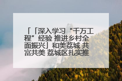 「深入学习“千万工程”经验 推进乡村全面振兴」和美荔城 共富共美 荔城区扎实推进乡村振兴工作