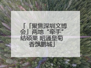 「聚焦深圳文博会」两地“牵手”结硕果 昭通皇菊香飘鹏城