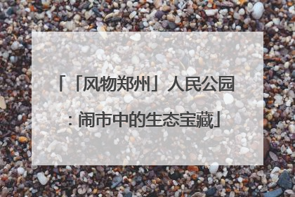 「风物郑州」人民公园：闹市中的生态宝藏