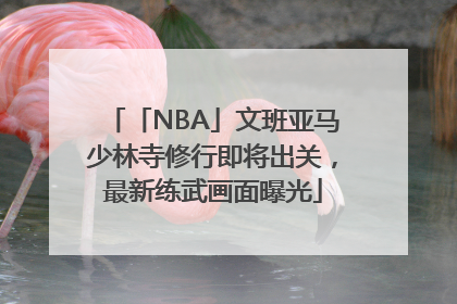 「NBA」文班亚马少林寺修行即将出关，最新练武画面曝光