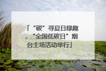 “碳”寻夏日绿趣，“全国低碳日”烟台主场活动举行