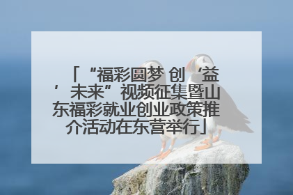 “福彩圆梦 创‘益’未来”视频征集暨山东福彩就业创业政策推介活动在东营举行
