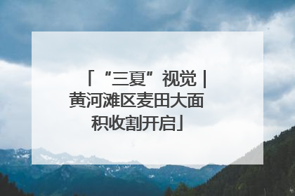“三夏”视觉｜黄河滩区麦田大面积收割开启