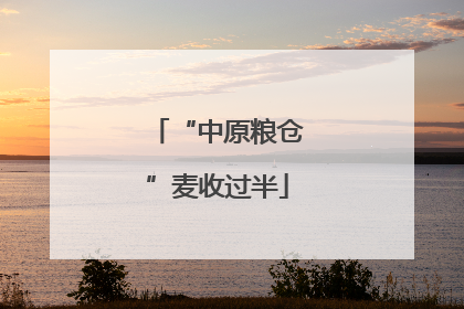 “中原粮仓”麦收过半