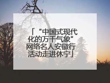 “中国式现代化的万千气象”网络名人安徽行活动走进休宁