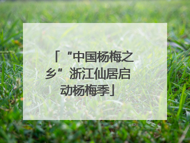 “中国杨梅之乡”浙江仙居启动杨梅季