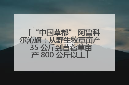“中国草都” 阿鲁科尔沁旗：从野生牧草亩产 35 公斤到苜蓿草亩产 800 公斤以上