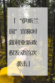 “伊斯兰国”宣称对叙利亚新政权发动首次袭击