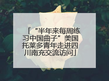 “半年来每周练习中国曲子”美国托莱多青年走进四川南充交流访问
