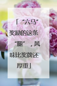 “六马”奖励的这条“腿”，风味比奖牌还厚重
