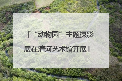 “动物园”主题摄影展在清河艺术馆开展