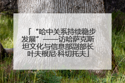 “哈中关系持续稳步发展”——访哈萨克斯坦文化与信息部副部长叶夫根尼·科切托夫