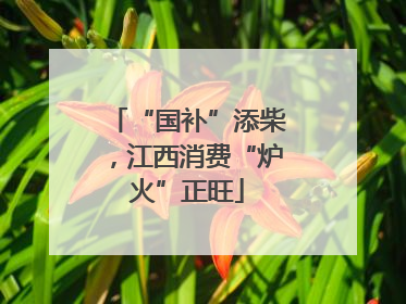 “国补”添柴，江西消费“炉火”正旺