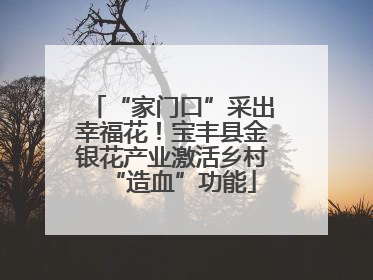 “家门口”采出幸福花！宝丰县金银花产业激活乡村“造血”功能