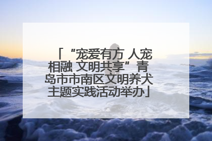 “宠爱有方 人宠相融 文明共享”青岛市市南区文明养犬主题实践活动举办