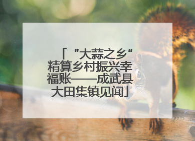 “大蒜之乡”精算乡村振兴幸福账——成武县大田集镇见闻