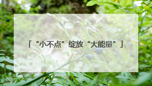“小不点”绽放“大能量”