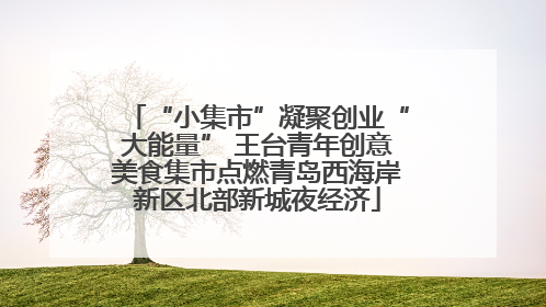 “小集市”凝聚创业“大能量” 王台青年创意美食集市点燃青岛西海岸新区北部新城夜经济