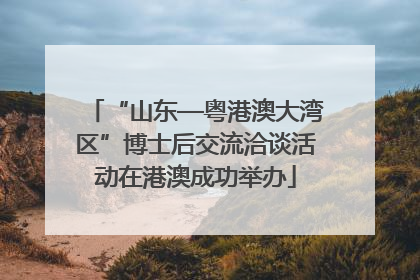 “山东—粤港澳大湾区”博士后交流洽谈活动在港澳成功举办