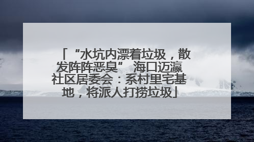 “水坑内漂着垃圾，散发阵阵恶臭” 海口迈瀛社区居委会：系村里宅基地，将派人打捞垃圾