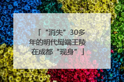 “消失”30多年的明代蜀端王陵在成都“现身”