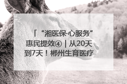 “湘医保·心服务”惠民提效④｜从20天到7天！郴州生育医疗费报销大提速