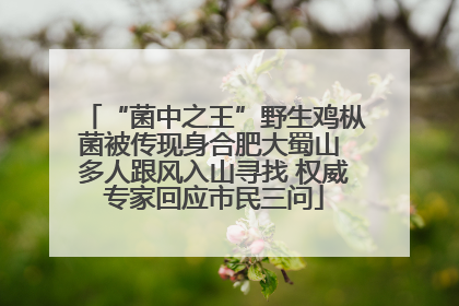 “菌中之王”野生鸡枞菌被传现身合肥大蜀山 多人跟风入山寻找 权威专家回应市民三问
