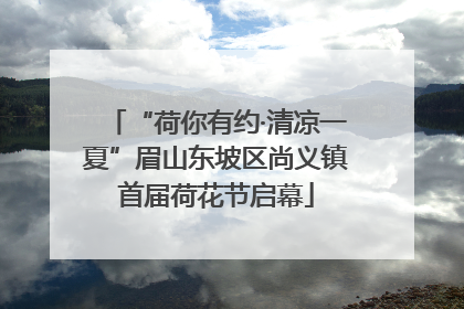 “荷你有约·清凉一夏”眉山东坡区尚义镇首届荷花节启幕