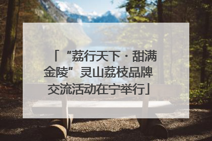 “荔行天下・甜满金陵”灵山荔枝品牌交流活动在宁举行