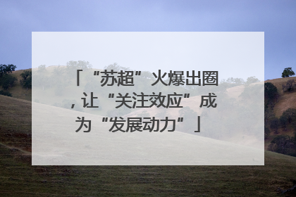 “苏超”火爆出圈，让“关注效应”成为“发展动力”
