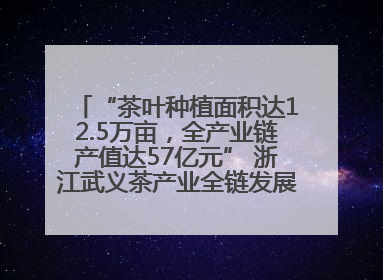 “茶叶种植面积达12.5万亩，全产业链产值达57亿元” 浙江武义茶产业全链发展“加速度”