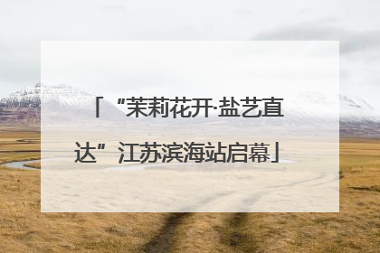 “茉莉花开·盐艺直达”江苏滨海站启幕
