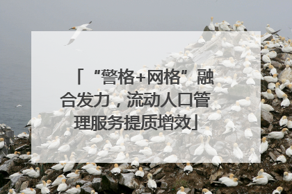 “警格+网格”融合发力，流动人口管理服务提质增效