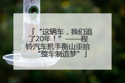 “这辆车，我们追了20年！”——程铃汽车携手衡山重拾“整车制造梦”
