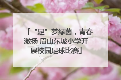 “足”梦绿茵，青春激扬 眉山东坡小学开展校园足球比赛