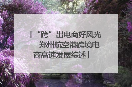 “跨”出电商好风光——郑州航空港跨境电商高速发展综述