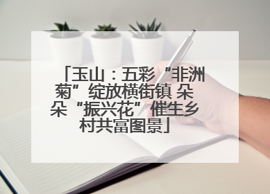 玉山：五彩“非洲菊”绽放横街镇 朵朵“振兴花”催生乡村共富图景