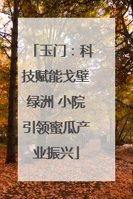玉门：科技赋能戈壁绿洲 小院引领蜜瓜产业振兴