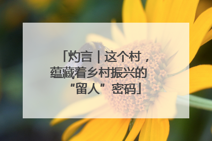 灼言｜这个村，蕴藏着乡村振兴的“留人”密码