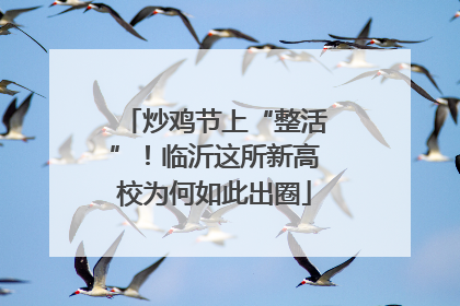 炒鸡节上“整活”！临沂这所新高校为何如此出圈